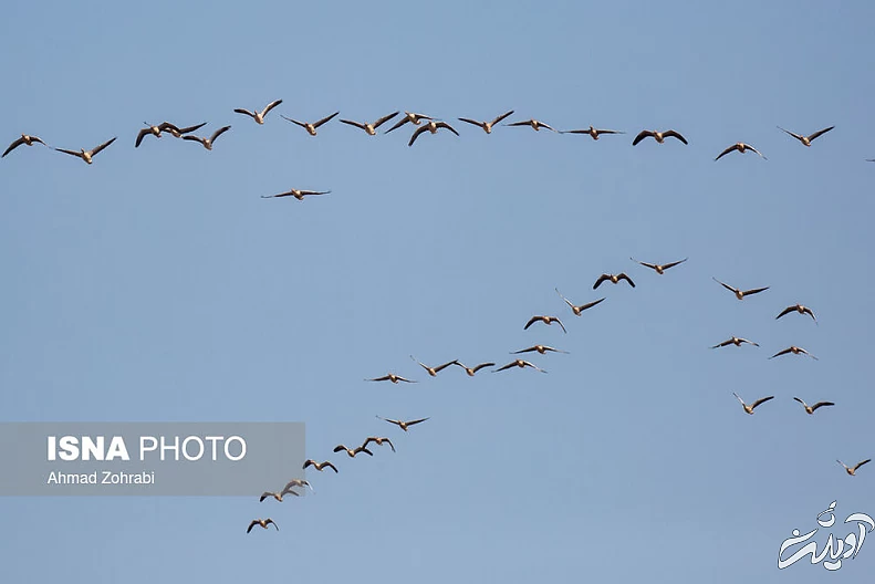 (تصاویر) طبیعت گردشگری قم
